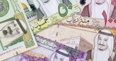 استقرار سعر الريال السعودي في مصر عند 8.22 جنيه - البوكس نيوز