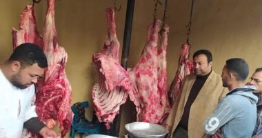 استقرار أسعار اللحوم فى الأسواق وكيلو الكندوز يسجل 230 جنيها – البوكس نيوز