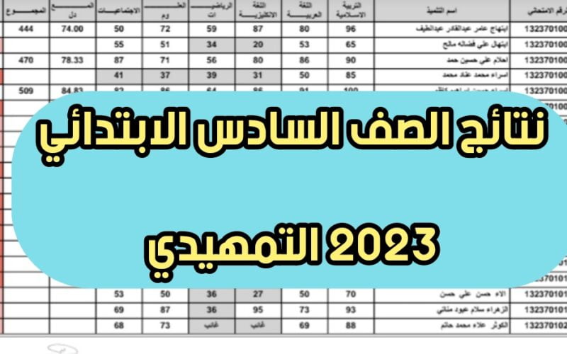 نتائج الصف السادس الابتدائي الدور التمهيدي 2023 عبر موقع وزارة التربية والتعليم العراقية