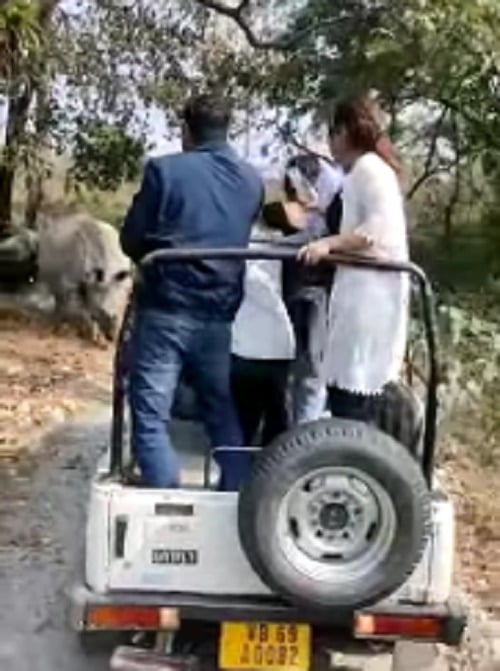 البوكس نيوز - مشاهد مروعة.. وحيد قرن يهاجم سياح في الهند (فيديو)