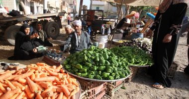 أسعار الخضراوات اليوم فى مصر تواصل استقرارها - البوكس نيوز