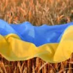 تركيا تعلن تمديد اتفاق البحر الأسود لتصدير الحبوب الأوكرانية لمدة شهرين - البوكس نيوز