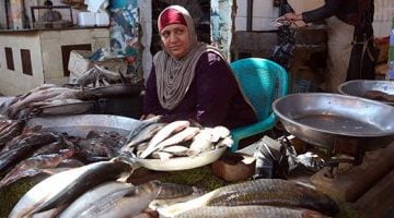 شعبة الأسماك: استقرار أسعار سمك البلطى عند 69 جنيها للكيلو – البوكس نيوز