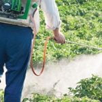 الجمارك توضح الضريبة المفروضة على المبيدات الحشرية للآفات الزراعية - البوكس نيوز